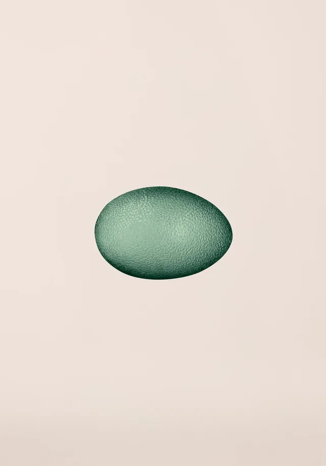Casall Oval Power Grip Ball palla verde ovale mano